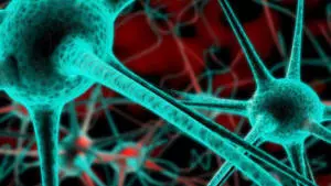 wellcome pain meeting