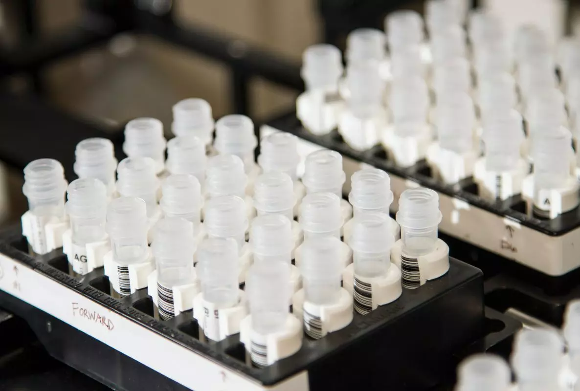 White plastic vials containing DNA samples